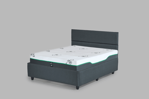 Fashion Panel Bed & Mattress